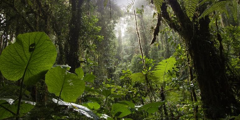 Natural Highlights of Costa Rica image