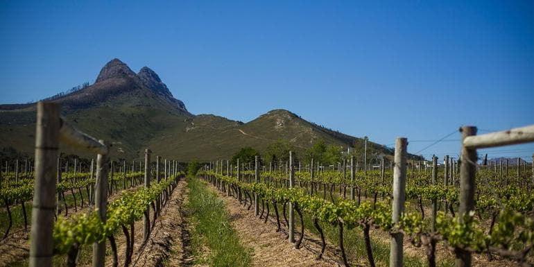Ultimate South Africa image
