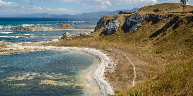 Highlights of New Zealand image