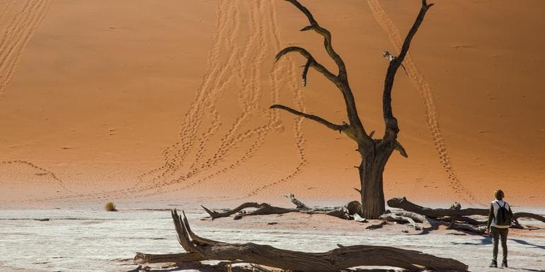 Dunes, Deltas & Falls Discoverer image