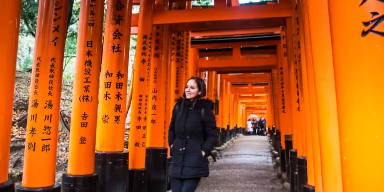 Epic Japan: Speed Trains & Street Food image