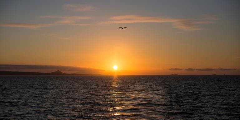Complete Galápagos - Estrella del Mar image