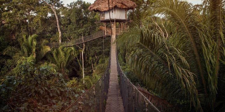 Inland & Amazon image