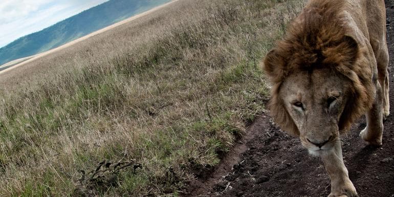 Tanzania to Zanzibar: White Sands & the Wilderness image
