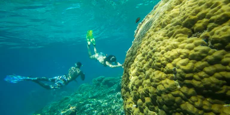 Lombok to Flores: The Hidden Path image