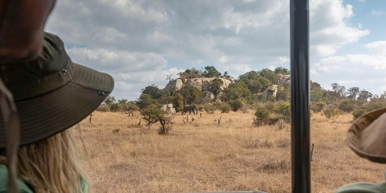 Southern Africa: National Parks of Zimbabwe & Kruger Wildlife Tracking image