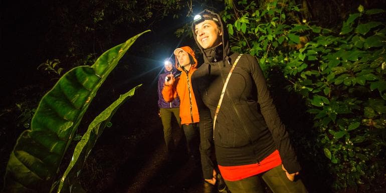 Costa Rica Adventure image