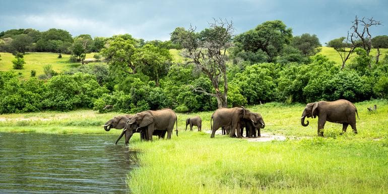 Zimbabwe & Botswana Safari: Victoria Falls & The Big Five image
