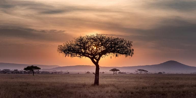 Signature: Tanzania’s Serengeti, Tarangire & Ngorongoro Crater image