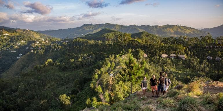 Sri Lanka: Spice Gardens & Seasides image