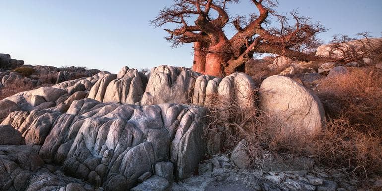 Kruger, Victoria Falls & Botswana Safari image