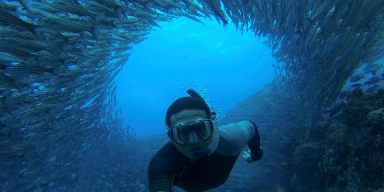 Galápagos – Central and East Islands aboard the Integrity image