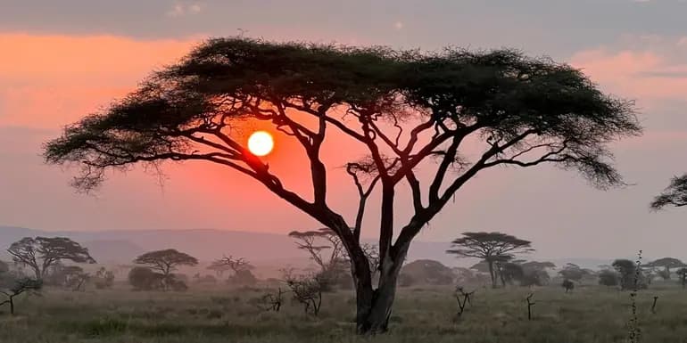 Maasai Mara Safari: Legendary Wildlife & Cultural Safari image