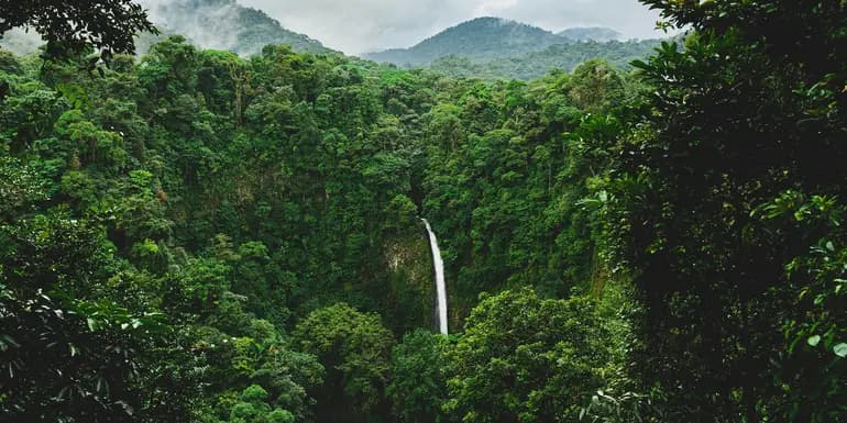 Signature: Costa Rica's Monteverde, Arenal & Guanacaste image