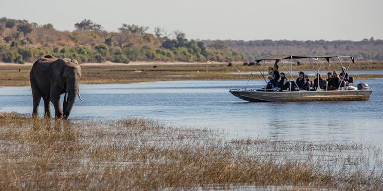 Zimbabwe & Botswana: Chobe, Hwange & Lake Kariba image