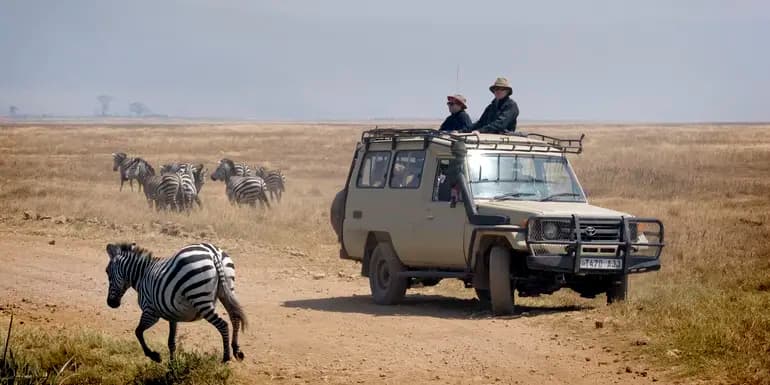 Tanzania Uncovered: Wildlife of the Serengeti & Ngorongoro Crater image