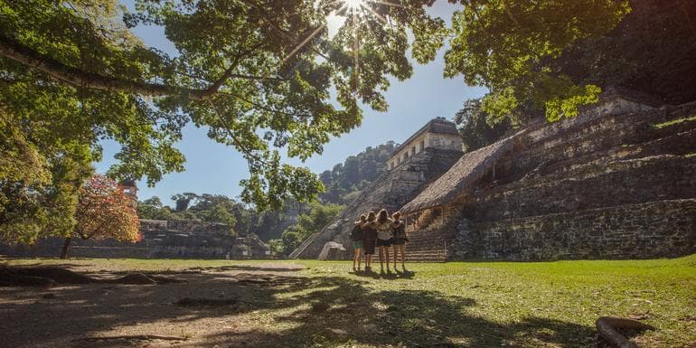 Mayan Discovery image