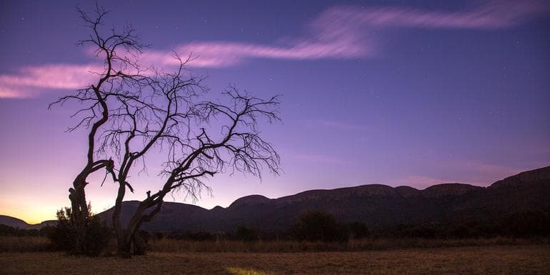 Highlights of Cape Town and Kruger image