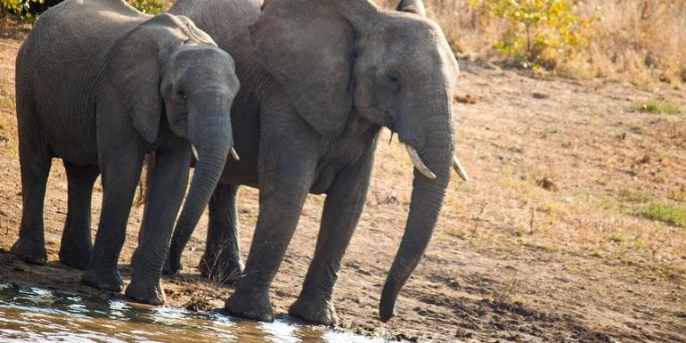 Journeys: Cape Town, Kruger & Namibia image