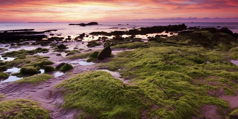 Wonders of Borneo image