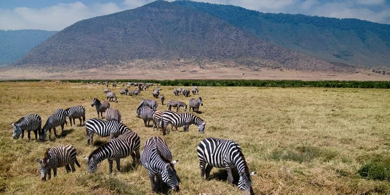 Tanzania & Zanzibar Adventure image