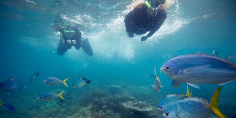 East Coast Encompassed: Sydney to Cairns image