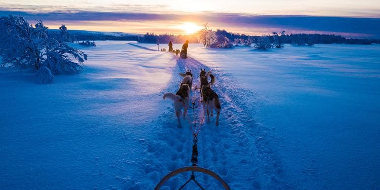 Winter in Finland: Lapland & Northern Lights image