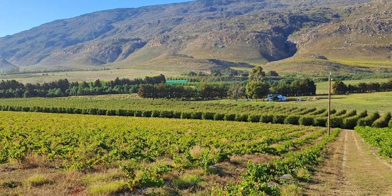 South Africa: The Garden Route image