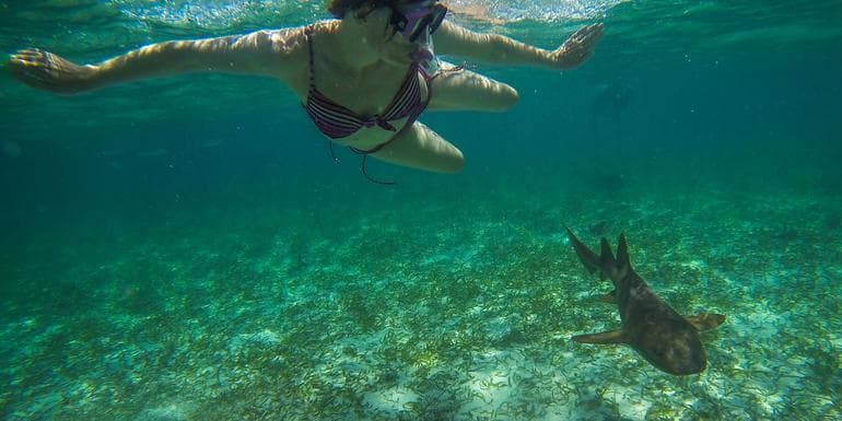Belize & Tikal Adventure image