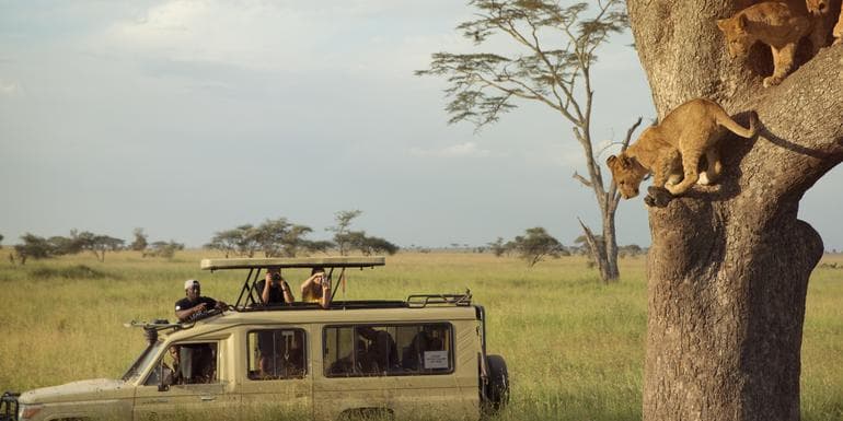Kenya & Tanzania Safari Experience image