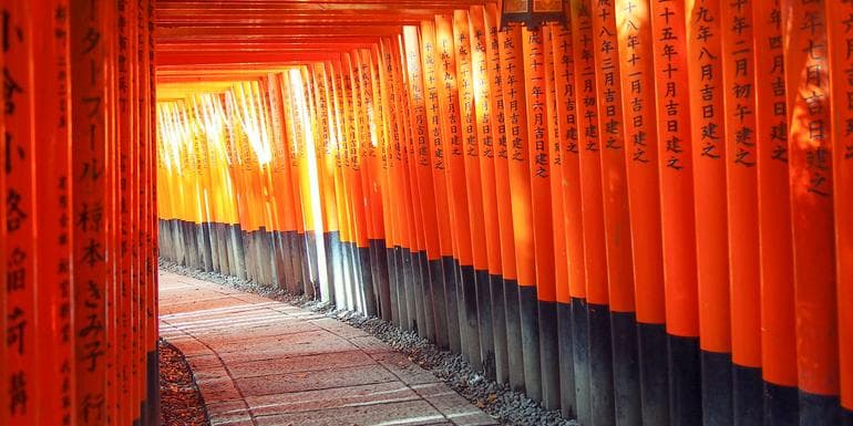 Active Japan: Kyoto to Tokyo Island Hopping image