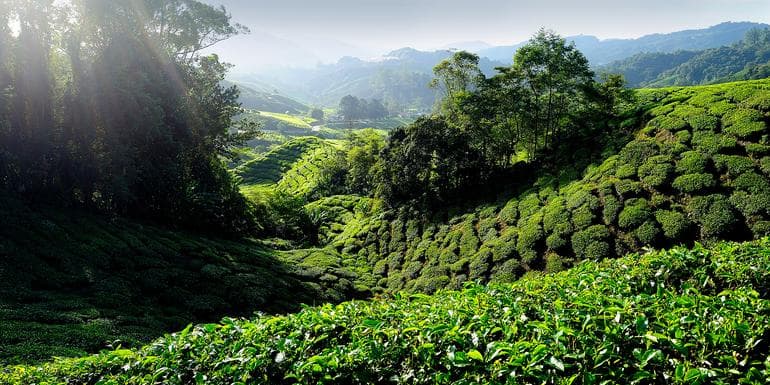 Colours of Asia – Singapore to Bangkok image