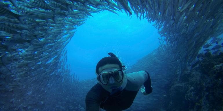 Galapagos — West & Central Islands Photography Tour image