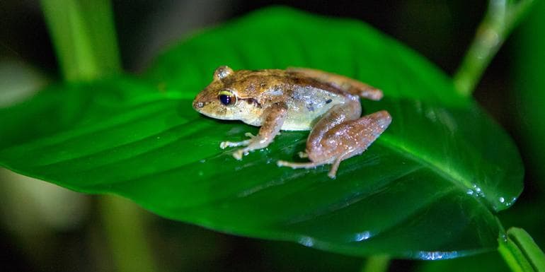 TailorMade Costa Rica: Natural Wonders image