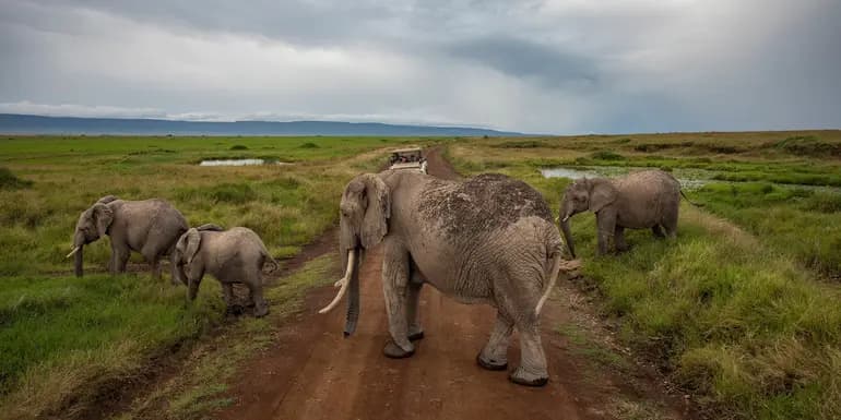 Kenya: Cultural Connections, Maasai Mara & East Africa Safari image