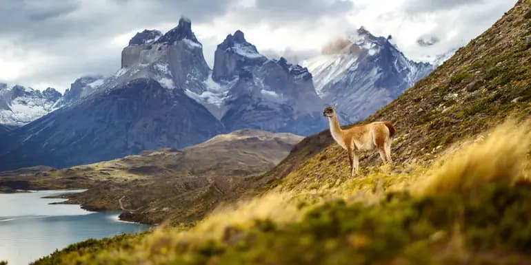 Signature: Argentina, Chile & the Heart of Patagonia image