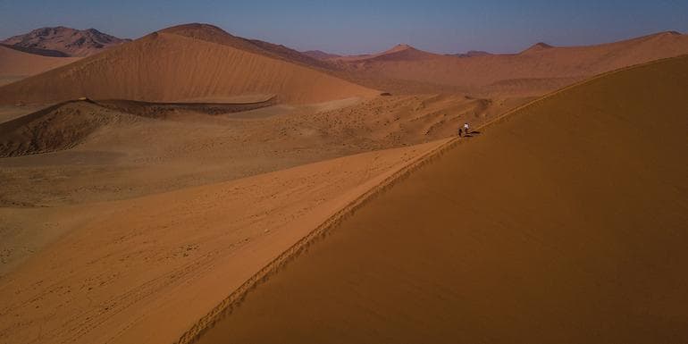 Cape & Dunes Northbound: Wildlife & Starry Night Skies image