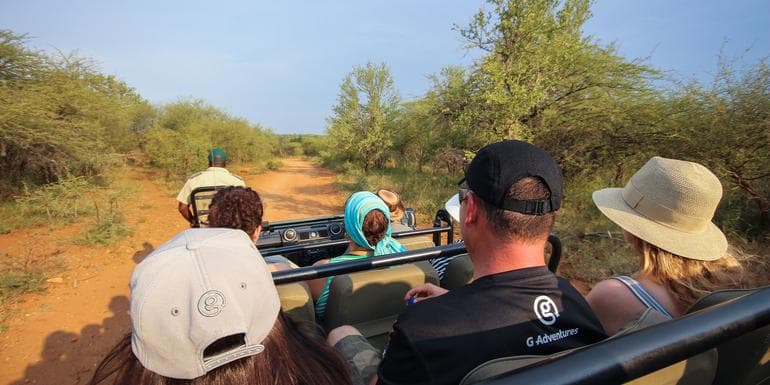 Southern Africa Safari: Kruger, Victoria Falls, Hwange & Chobe image