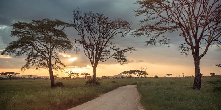 Upgraded East Africa Safari image