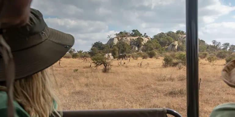 Journeys: Explore Kruger National Park image