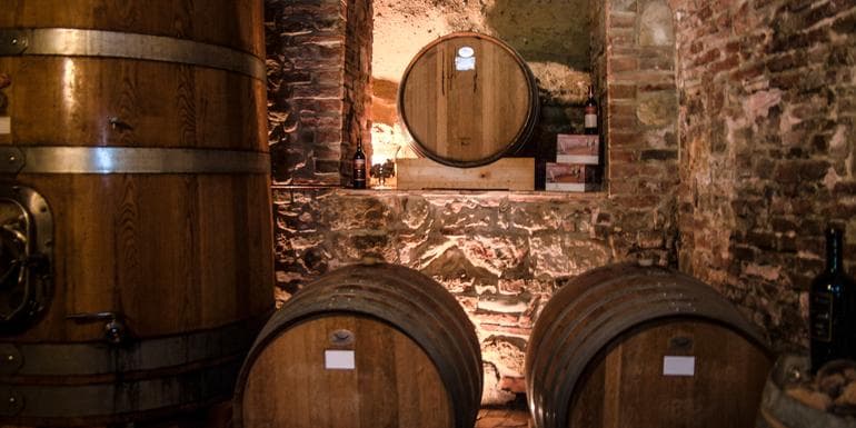 Mendoza Wineries Independent Adventure image
