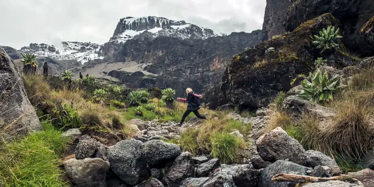 Kilimanjaro – Machame Route & Serengeti Adventure image