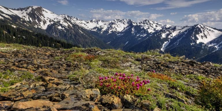 Best of Northern Rockies & the Pacific Northwest image