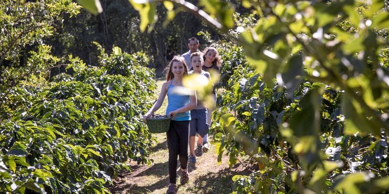 Costa Rica Family Journey: From Rainforest to Coast image