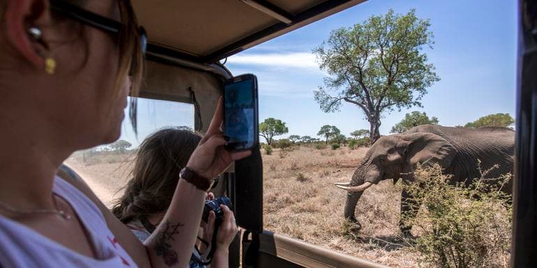 TailorMade Southern Africa: Cape Town, Kruger & Zimbabwe image