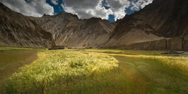 Trekking in Ladakh image