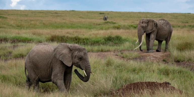 Masai & Tanzania Camping Safari image