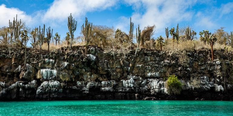 Galápagos Adventure: Snorkelling & Sea Lions image