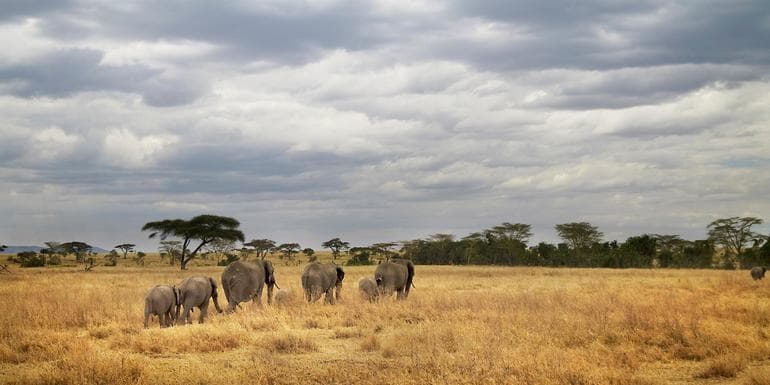 Tanzania Camping Adventure image