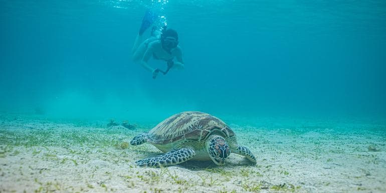 Philippines Palawan Adventure image